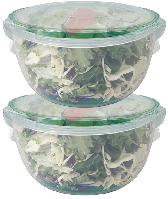 나누담 원형 야채 물빠짐 샐러드볼 밀폐용기, 2개, 1.67L