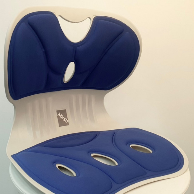 Mirsh 바른자세 등받이 자세보정 의자 라지, 블루