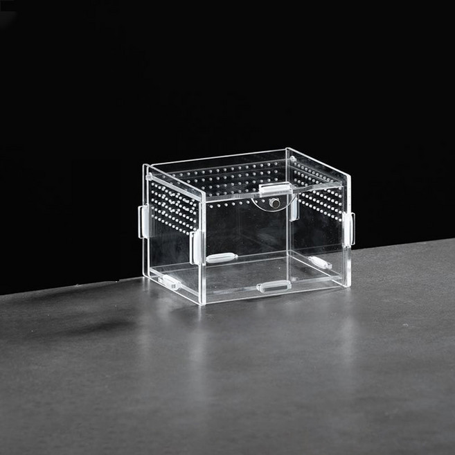 요런개 파충류 사각 사육장 은신처 02 가로 10cm, 투명, 1개