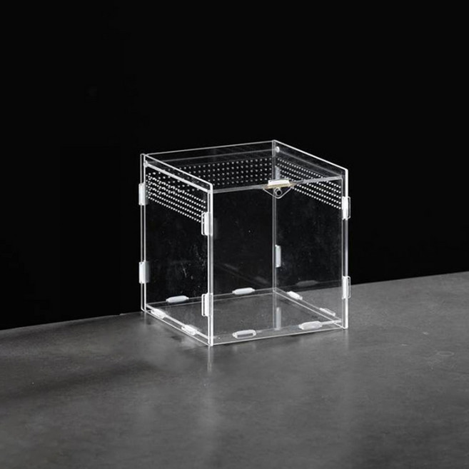 요런개 파충류 사각 사육장 은신처 03 정사각형 10cm, 투명, 1개