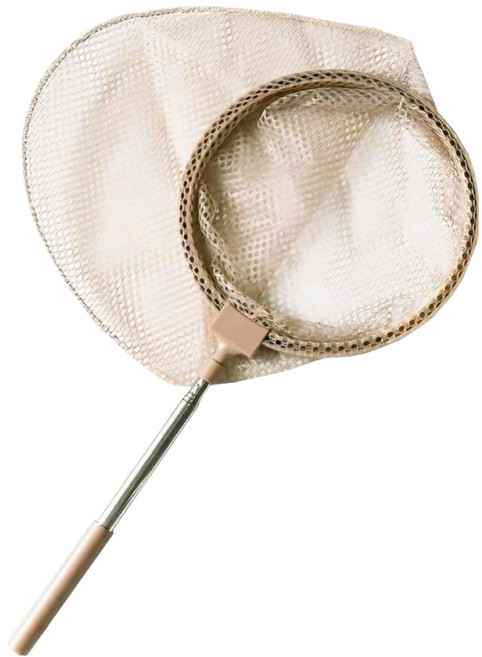 투코비 자연탐구 채집채 브라운, 1개