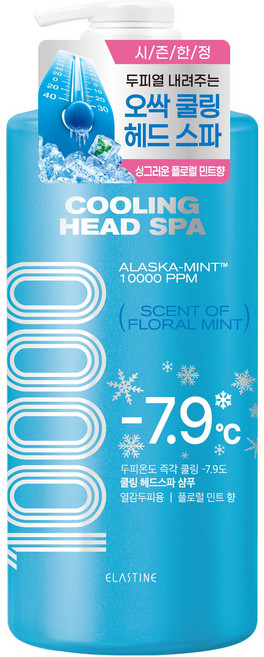 엘라스틴 쿨링 헤드 스파 10000 샴푸 플로럴민트, 1L, 1개