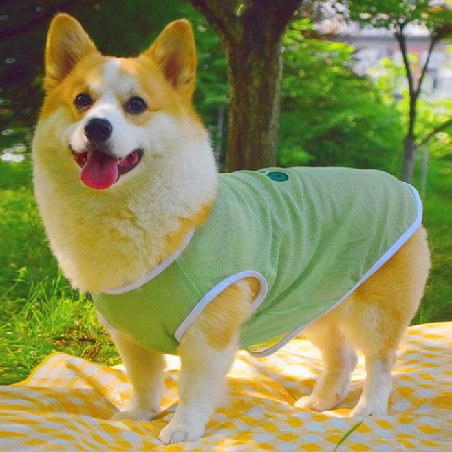 레드퍼피 반려동물 헬로 메쉬 쿨나시, 그린, 1개