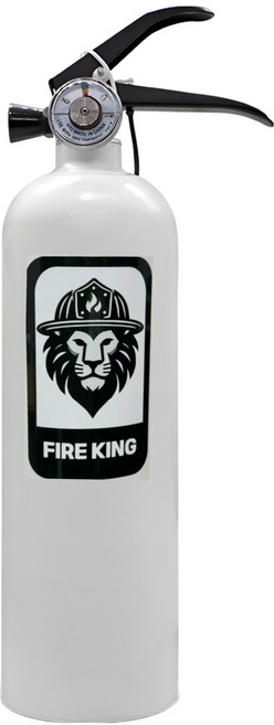 파이어킹 분말형 ABC 차량용 소화기 + 스트랩 세트, 0.7kg, 1개