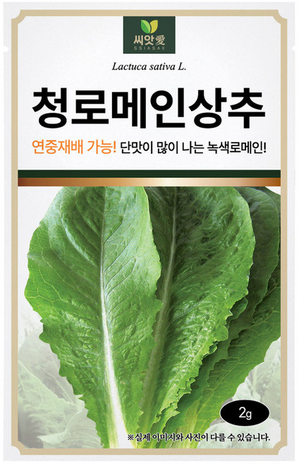 다농 씨앗애 청 로메인 상추 씨앗 2g, 1개