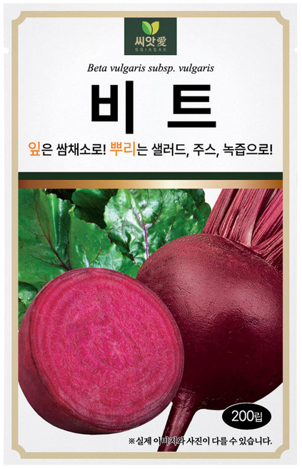 다농 씨앗애 비트 씨앗 200립, 1개