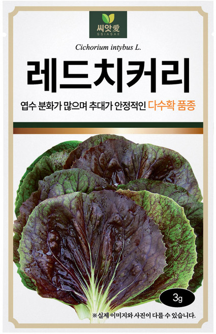 다농 씨앗애 레드치커리 씨앗 3g, 1개