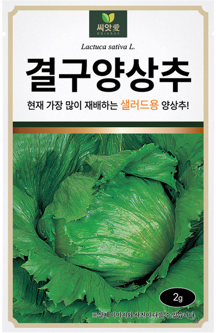 다농 씨앗애 결구양상추 씨앗 2g, 1개