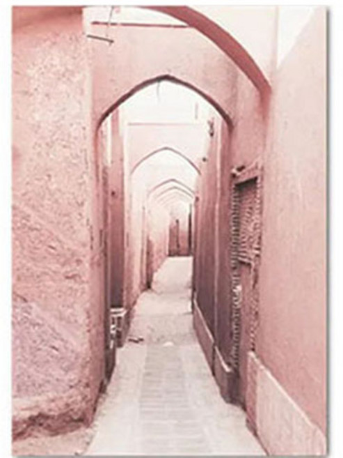 파라다이소 PDS홈데코 로제 파라다이스 인테리어 캔버스 포스터 E형