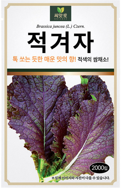다농 씨앗애 적겨자 씨앗 2000립, 1개