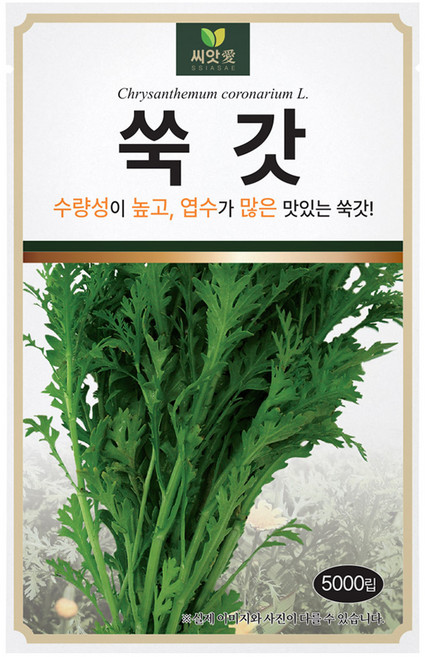 다농 씨앗애 쑥갓 씨앗 5000p, 1개