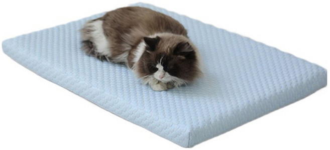 파스텔펫 반려동물 허니콤 엠보 쿨쿠션, 블루, 1개