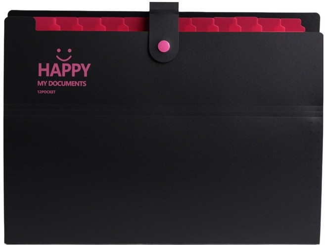 골드팡 해피 아코디언 12칸 파일 정리함 바인더, 블랙, 1개