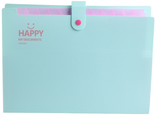 골드팡 해피 아코디언 12칸 파일 정리함 바인더, 라이트블루, 1개
