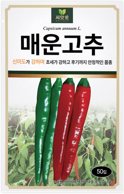 다농 씨앗애 매운고추 씨앗 50p, 1개