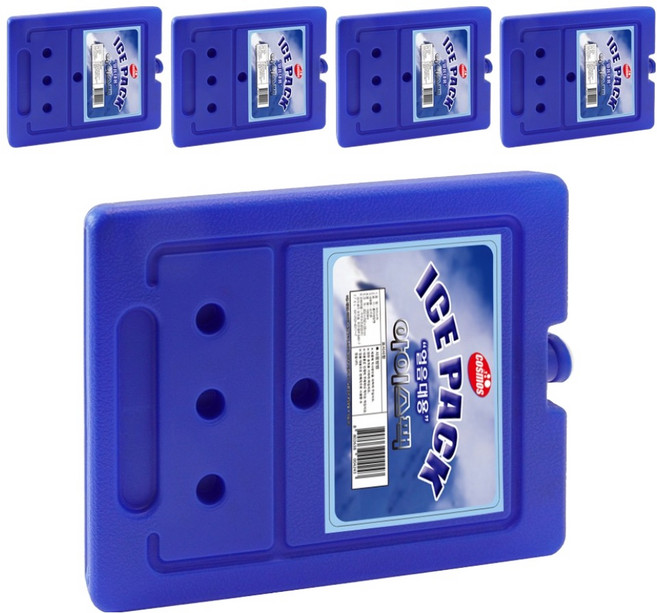 코스모스 하드케이스 아이스팩 1L, 1개입, 5개