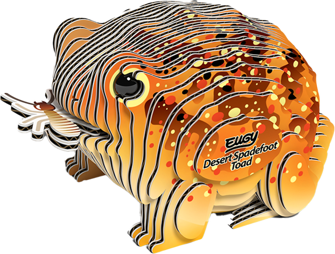 EuGy 3D立體紙拼圖, 7張, 蟾蜍, 1組