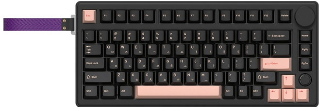 COX VIA 엣지 LED 노브 3MODE 기계식 유무선 텐키리스 키보드 Deep Oil 저소음축, Olivia + Black, CQK81, 제조사축