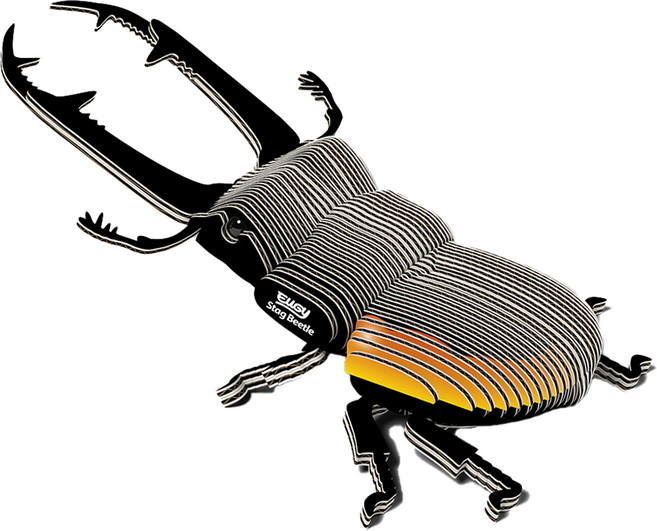 EuGy 3D立體紙拼圖, 7張, 鰍形蟲, 1組