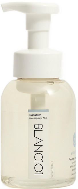 블랑101 포밍 핸드워시, 시그니처, 280ml, 1개