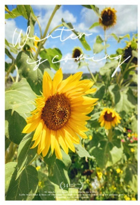 더플로우커머스 NATURAL SUMMER 감성 포스터 04