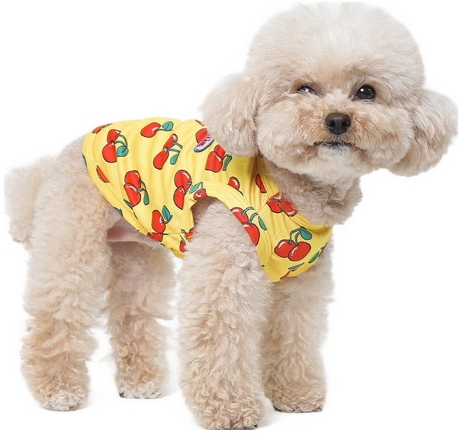 투스투스 강아지 쿨링옷, 체리, 1개