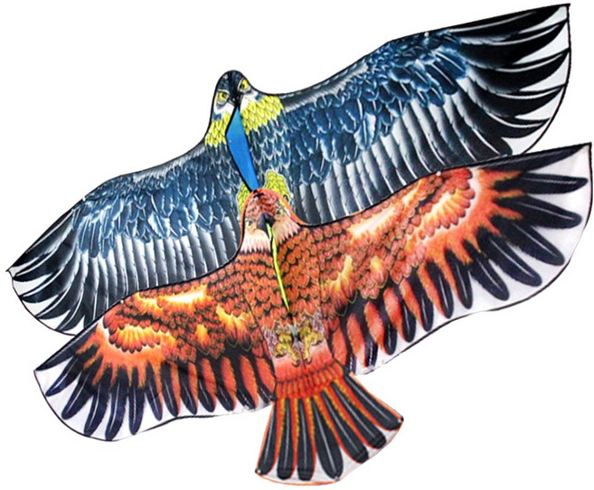 해피아이몰 대형 새쫓는 독수리연 날리기 랜덤발송, 2개