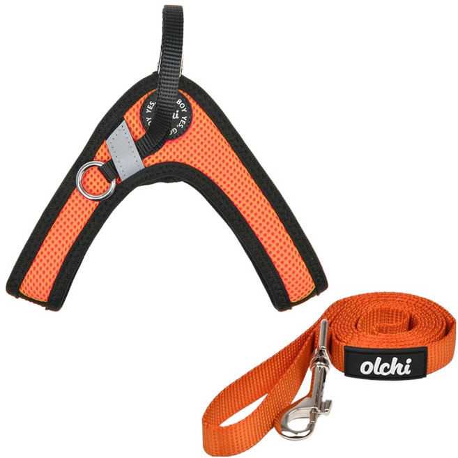 올치 강아지 산책 콤비V 스트링 하네스 + 리드줄 세트 HV6049, 오렌지, 1개