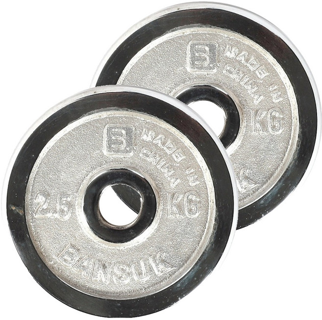 반석스포츠 크롬 도금 바벨, 2.5kg, 2개, 실버