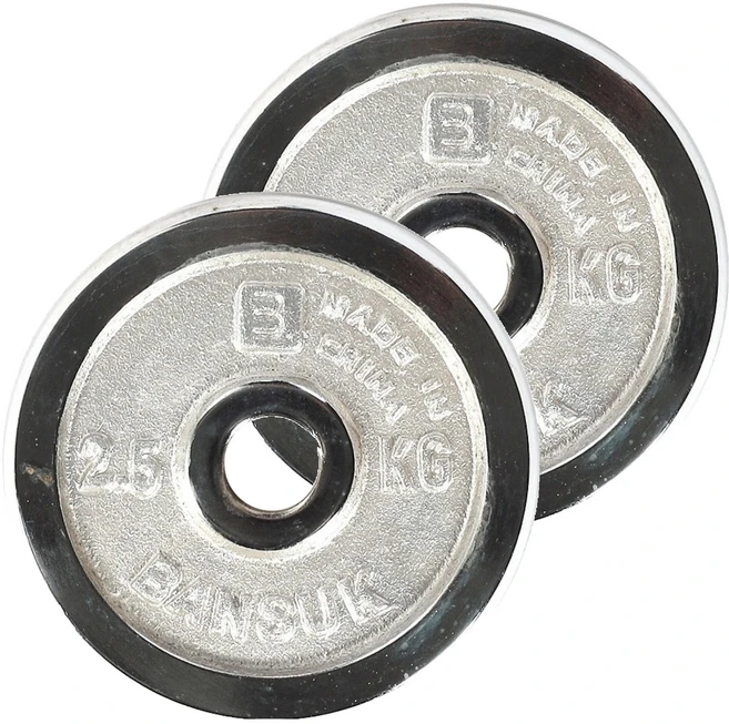 반석스포츠 크롬 도금 바벨, 2.5kg, 2개, 실버 - 쿠팡