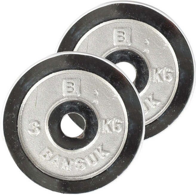 반석스포츠 크롬 도금 바벨, 3kg, 2개, 실버