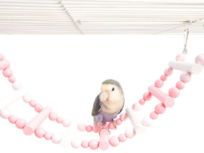 주렁주렁 앵무새 사다리, 딸기우유, 1개