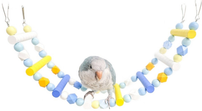 주렁주렁 앵무새 사다리, 슈팅스타, 1개