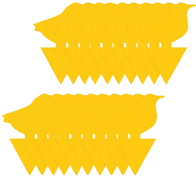 마켓플랜 초파리 끈끈이 벌레퇴치 화분꽂이 참새, 3g, 20개