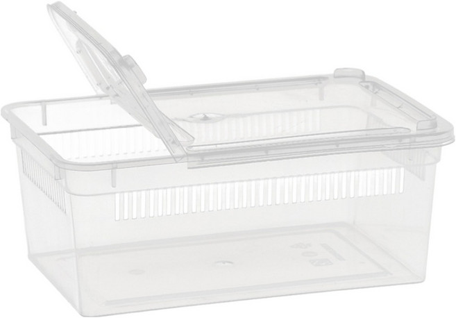 레몽크리프 도마뱀 사육장 적재함 ONE SIZE(19 x 12.5 x 7.5 cm), 투명, 1개