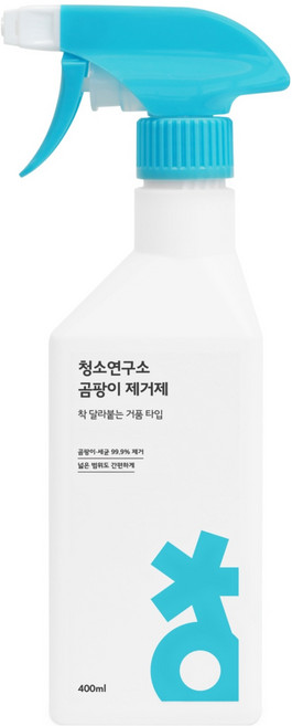 청소연구소 곰팡이제거제, 1개, 400ml