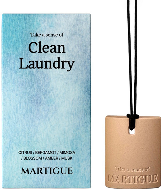 마르티그 차량용 퍼퓸 테라코타 디퓨저, 1개, 클린런드리