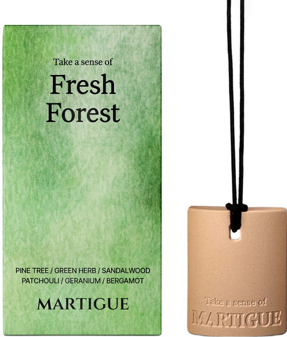 마르티그 차량용 퍼퓸 테라코타 디퓨저, 1개, 프레쉬포레스트