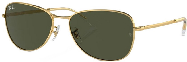 레이밴 Ray-Ban 남녀공용 선글라스 RB3733