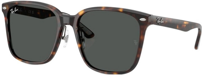 레이밴 Ray-Ban 남녀공용 선글라스 RB2206D
