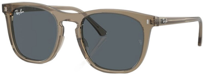 레이밴 Ray-Ban 남녀공용 선글라스 RB2210F