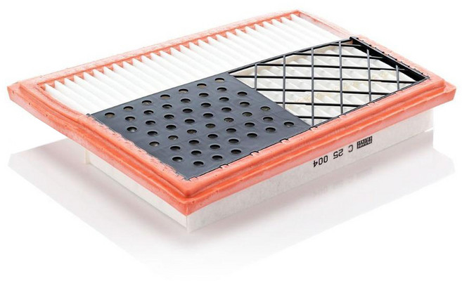 MANN FILTER 空氣過濾器, C25004, 1個
