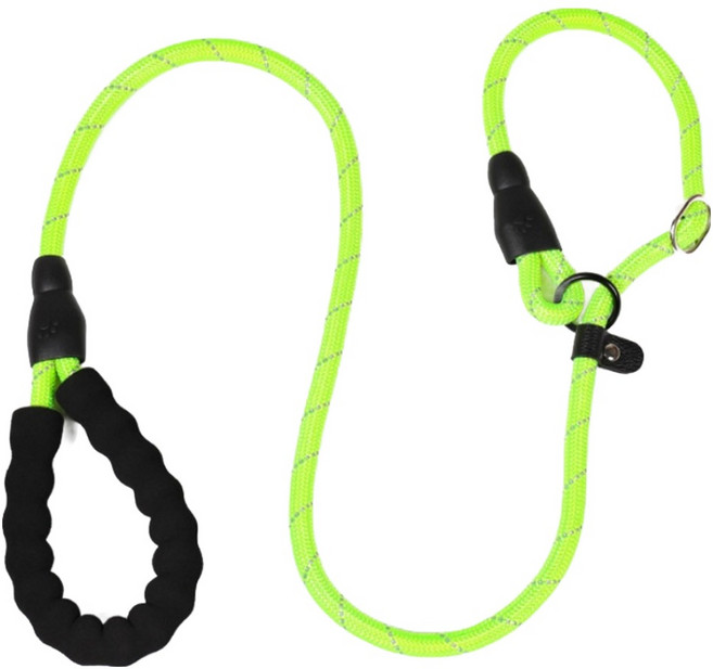 아미펫 강아지 컬러로프 일체형 목줄 리드줄, 그린, 1개