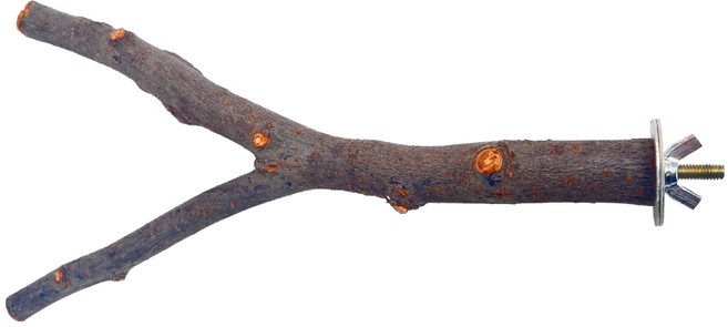 벨라픽 스트레스 해소 횃대 더블 스탠드 사과나무 20cm, 우드, 1개