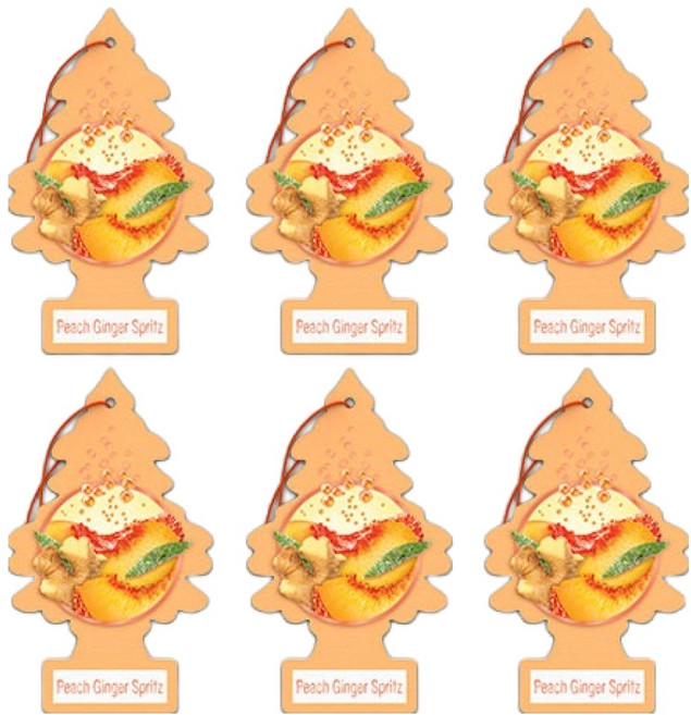 리틀트리 종이 차량용 디퓨저 5g, 6개, 피치 진저 스프리츠