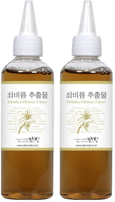 맑을담 쇠비름 추출물 마치현 원액 100ml, 2개 - 쿠팡