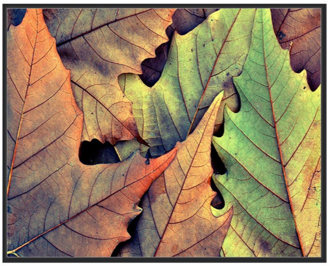 비엠디자인 화려한 보석십자수 40 x 50 cm, 낙엽 04, 1개