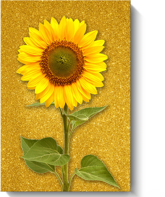 루미온 복이 들어오는 해바라기 액자, 프레임리스