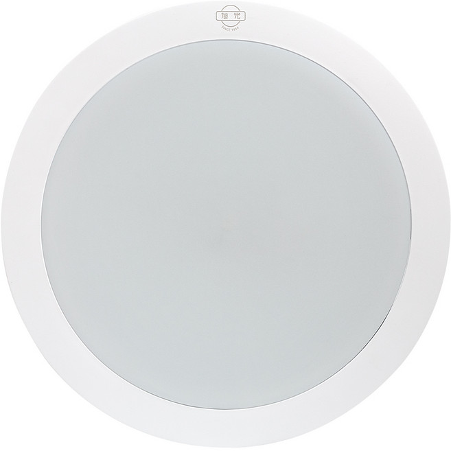 旭光 LED戶外防水吸壁燈 15W 6500K LXC15W/865/U/ML/220/BDS, 白色