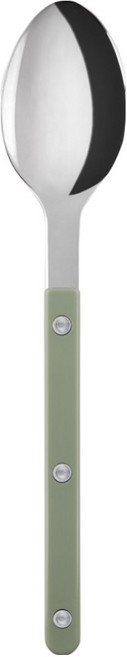 사브르 24SS 비스트로 샤이니 샐러드 스푼, Asparagus, 1개